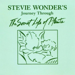 stevie-wonder-journey-through-the-secret-life-of-plants